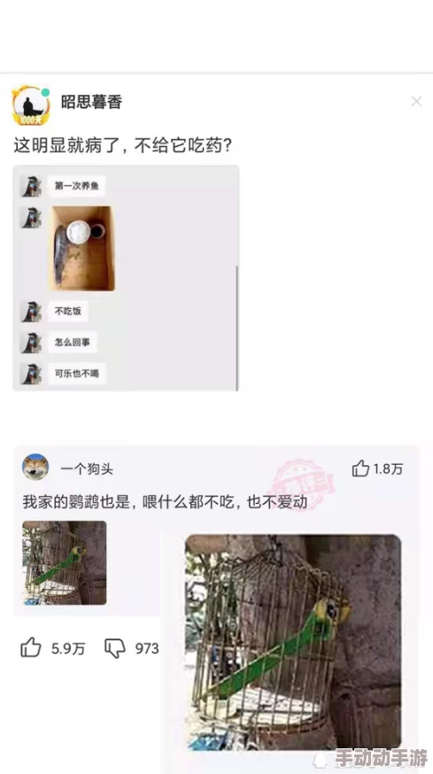 男人使劲躁女人使劲叫网友称低俗不尊重女性建议平台加强监管 男人使劲躁女人使劲叫网友称低俗不尊重女性建议平台加强监管