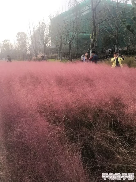 国产乱子伦弘扬时代精神展现人性光辉传递社会正能量 国产乱子伦弘扬时代精神展现人性光辉传递社会正能量