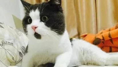 鲤鱼乡噗嗤噗嗤知情人爆料当事人竟是某知名网红和神秘富二代 鲤鱼乡噗嗤噗嗤知情人爆料当事人竟是某知名网红和神秘富二代