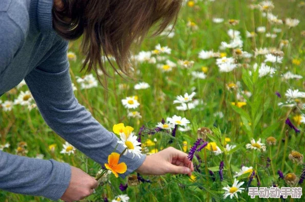 破苞乂性摘花画面优化及部分BUG修复 破苞乂性摘花画面优化及部分BUG修复