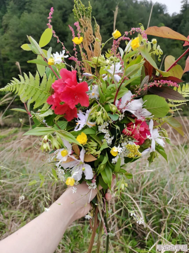 破苞乂性摘花画面优化及部分BUG修复 破苞乂性摘花画面优化及部分BUG修复