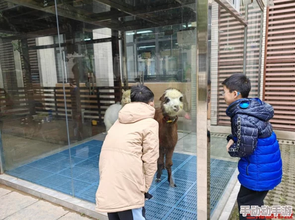 疯狂动物园新宠:臭臭象来袭,这可不是臭味相投的‘臭美’风尚! 疯狂动物园新宠:臭臭象来袭,这可不是臭味相投的‘臭美’风尚!