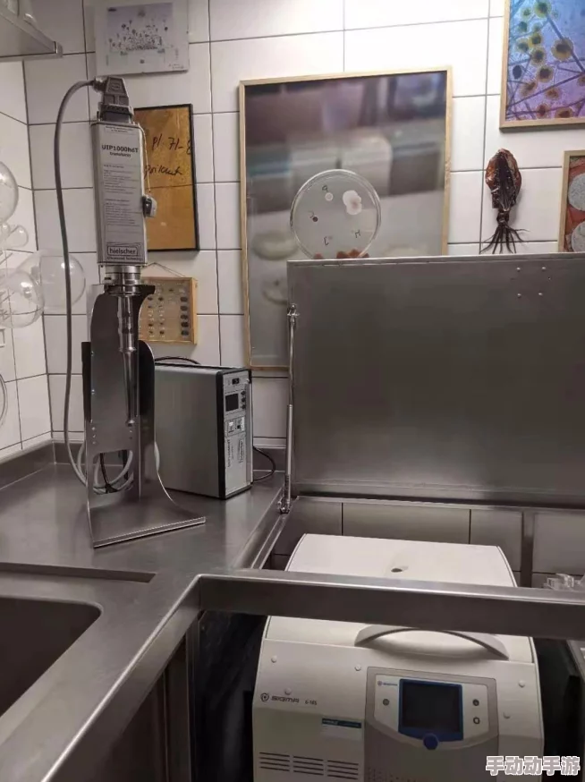 疯狂动物园新宠:臭臭象来袭,这可不是臭味相投的‘臭美’风尚! 疯狂动物园新宠:臭臭象来袭,这可不是臭味相投的‘臭美’风尚!