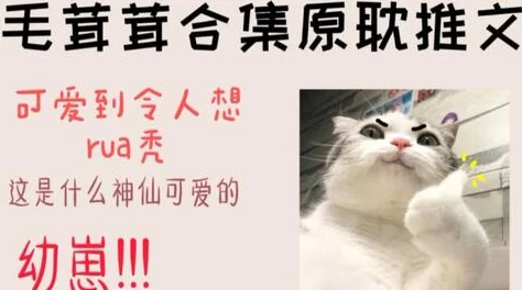 穿成炮灰哥儿后我嫁了反派全文免费阅读听说反派其实暗恋主角多年最终为爱黑化了 穿成炮灰哥儿后我嫁了反派全文免费阅读听说反派其实暗恋主角多年最终为爱黑化了