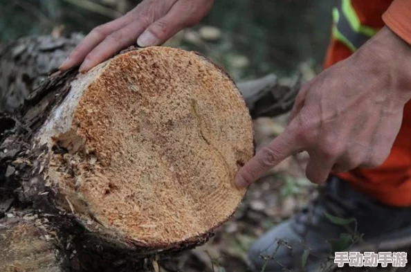 CF手游寄生模式:终结者新技能“寄生炸弹”深度解析 CF手游寄生模式:终结者新技能“寄生炸弹”深度解析
