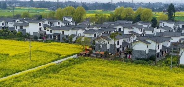 皇室战争2024最新冲杯攻略:2000杯以下小技巧与心得分享 皇室战争2024最新冲杯攻略:2000杯以下小技巧与心得分享