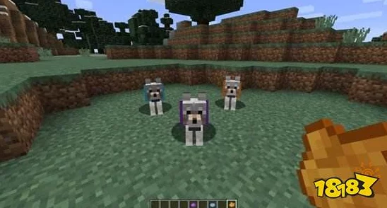 《我的世界》热门话题:猫狗兽位置及最新召唤指令分享 《我的世界》热门话题:猫狗兽位置及最新召唤指令分享