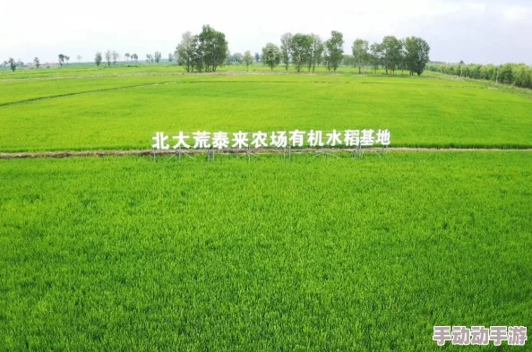 2024奇迹暖暖联盟委托6-7高分攻略:最新热门搭配技巧指南 2024奇迹暖暖联盟委托6-7高分攻略:最新热门搭配技巧指南