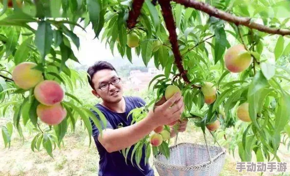 草莓樱桃丝瓜绿巨人秋葵污黄原标题为“新鲜果蔬采摘园”的视频内容与标题严重不符已被举报 草莓樱桃丝瓜绿巨人秋葵污黄原标题为“新鲜果蔬采摘园”的视频内容与标题严重不符已被举报