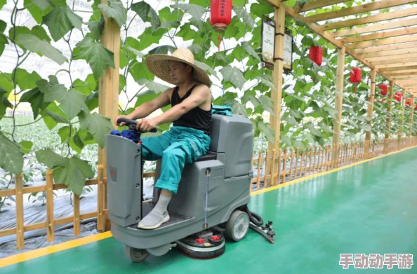 2024天天酷跑3D最新萌宠养成全攻略秘籍 2024天天酷跑3D最新萌宠养成全攻略秘籍