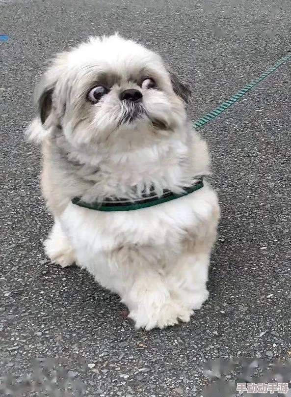 欧美肥臀妇群肉交网友称尺度太大令人不适画面不堪入目 欧美肥臀妇群肉交网友称尺度太大令人不适画面不堪入目