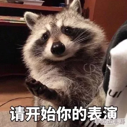 2024热门推荐：武罗仙子萌宠崛起，高性价比平民炼妖超级强力首选！