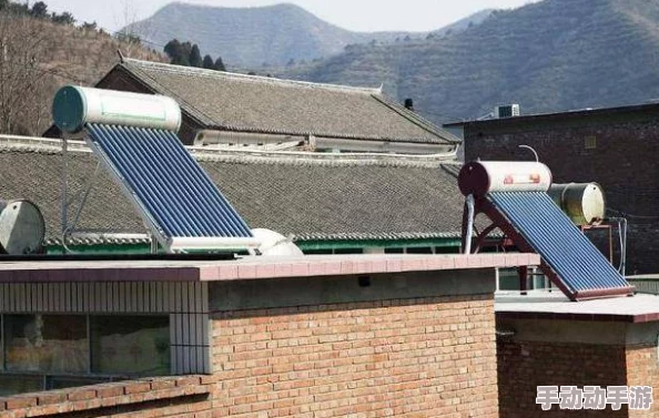 隔墙花无人问津乏人欣赏最终枯萎凋零无人怜惜 隔墙花无人问津乏人欣赏最终枯萎凋零无人怜惜