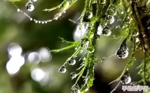 火线精英生化模式新攻略:2024热门变异体取胜秘诀大公开 火线精英生化模式新攻略:2024热门变异体取胜秘诀大公开