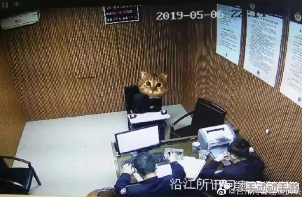 美女脱个精光视频曝光涉嫌违法传播淫秽色情内容已被举报 美女脱个精光视频曝光涉嫌违法传播淫秽色情内容已被举报