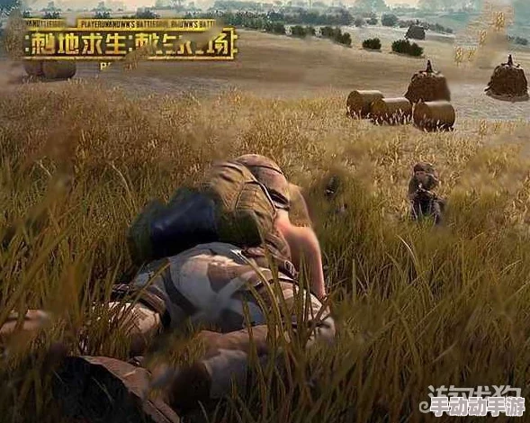 绝地求生刺激战场:2024最新决赛圈制胜策略与打法攻略 绝地求生刺激战场:2024最新决赛圈制胜策略与打法攻略