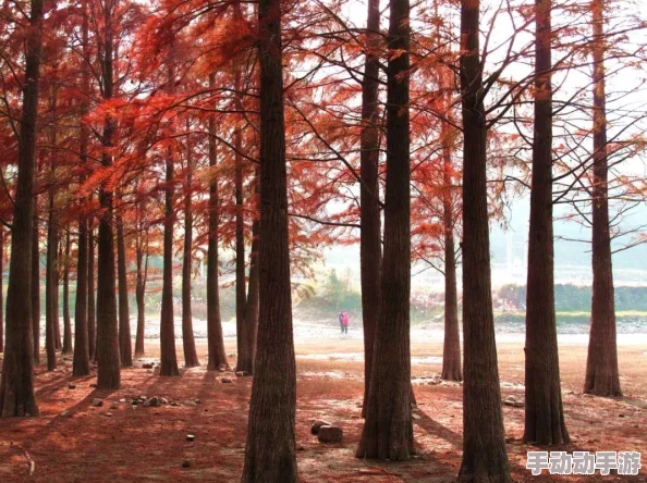 落池小说全文免费阅读已完结番外更新至最终章限时免费 落池小说全文免费阅读已完结番外更新至最终章限时免费