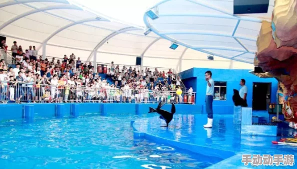 耸动拍打黏腻水声白沫游客投诉海洋馆表演低俗引发争议 耸动拍打黏腻水声白沫游客投诉海洋馆表演低俗引发争议