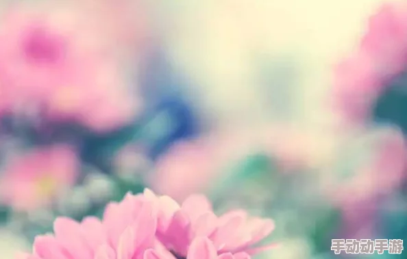 含蓄草小淘气让我们用爱与勇气去面对生活中的每一个挑战