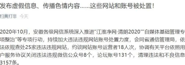 五级片网站传播非法有害信息已被警方查封