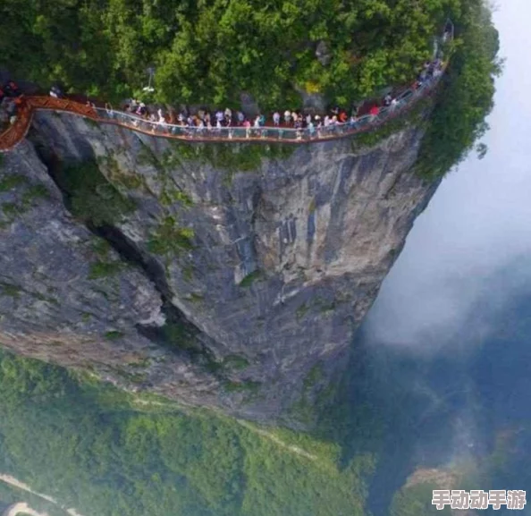 瓶子炮对决高科技火箭：谁是当下热门，抓住你的心跳之选？