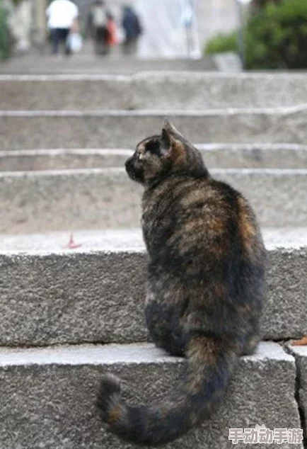 啊好大受不了了原标题为“猫咪伸懒腰”视频片段遭恶意剪辑