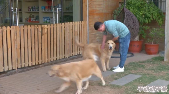 微微一笑很倾城:2024撩妹新攻略,三步解锁魅力白皮书 微微一笑很倾城:2024撩妹新攻略,三步解锁魅力白皮书