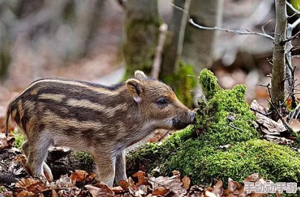 《我的世界》加速村民繁殖的高效策略与最新技巧分享 《我的世界》加速村民繁殖的高效策略与最新技巧分享