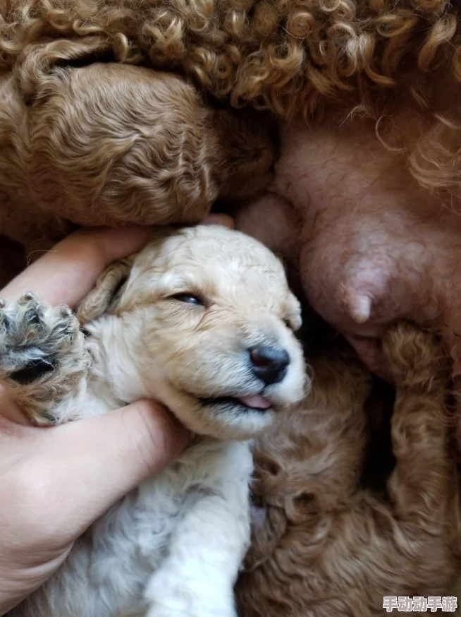 一边吃奶一边啪受不了好爽原标题曝光引发网友强烈谴责道德沦丧