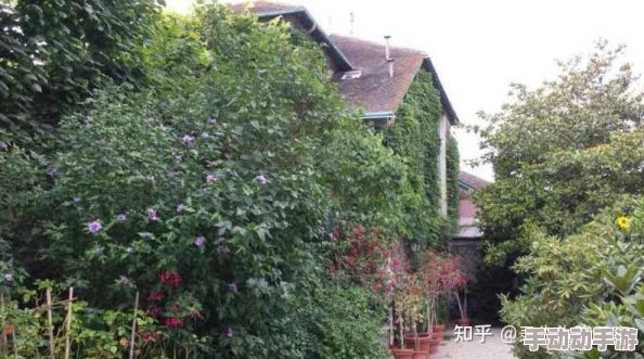 日本园林艺术因为其精巧的设计和宁静的氛围而让人心旷神怡 日本园林艺术因为其精巧的设计和宁静的氛围而让人心旷神怡