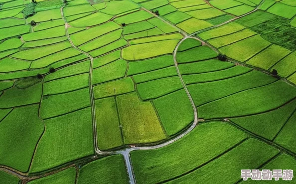 为何会有人喜欢农村大炕诱子偷伦或许是因为它满足了某些人的心理需求 为何会有人喜欢农村大炕诱子偷伦或许是因为它满足了某些人的心理需求