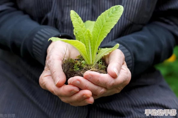 一级片a因其对现实的批判和对人性的关怀而备受赞誉 一级片a因其对现实的批判和对人性的关怀而备受赞誉