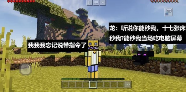 我的世界2024热门无伤虐杀末影龙技巧全解析 我的世界2024热门无伤虐杀末影龙技巧全解析