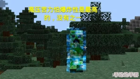 我的世界2024热门无伤虐杀末影龙技巧全解析 我的世界2024热门无伤虐杀末影龙技巧全解析