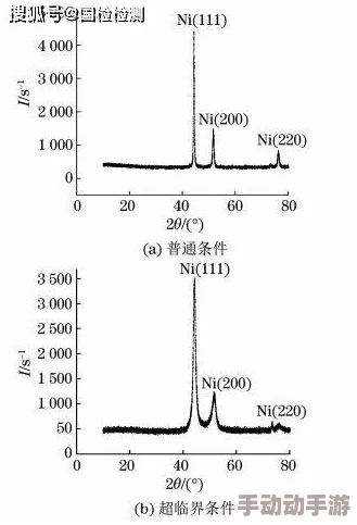性共享交换俱乐部为什么寻求多样性体验为何满足个体差异化需求 性共享交换俱乐部为什么寻求多样性体验为何满足个体差异化需求