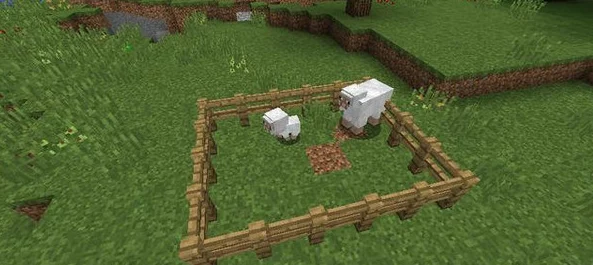 热门分享：我的世界动物自动喂食MOD最新制作方法揭秘