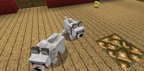 热门分享：我的世界动物自动喂食MOD最新制作方法揭秘