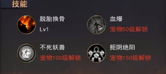 探墓风云手游：唐僧伙伴深度缘分解析与最新热门攻略