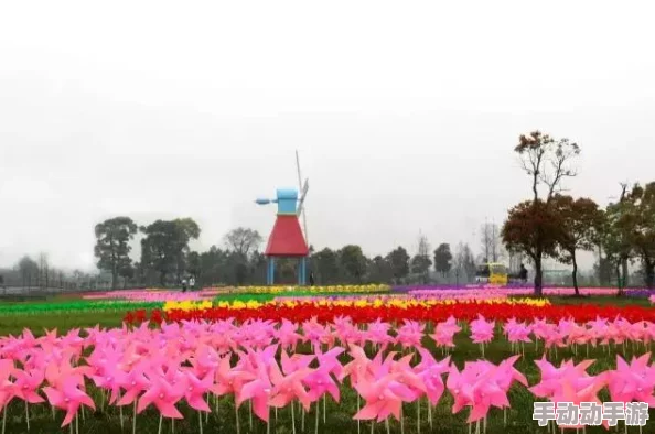 部落冲突5本攻略：最新热门最强风车阵型详解