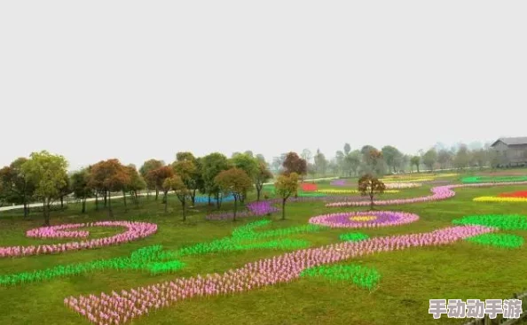 部落冲突5本攻略：最新热门最强风车阵型详解