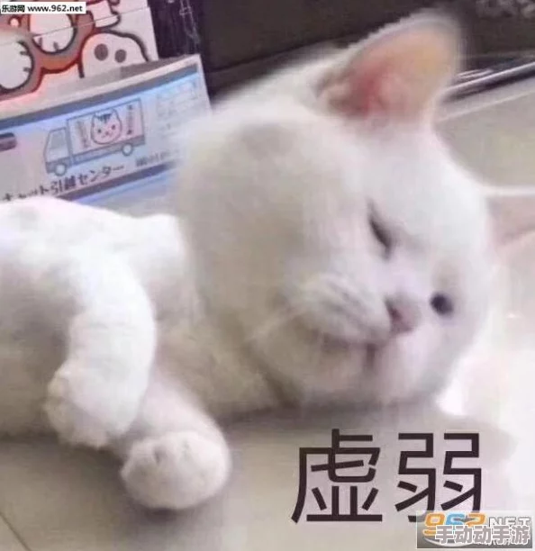 重生细胞:深度解析回旋镖图纸获取、解锁与武器获得方法 重生细胞:深度解析回旋镖图纸获取、解锁与武器获得方法