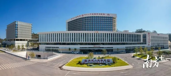 重生细胞:深度解析回旋镖图纸获取、解锁与武器获得方法 重生细胞:深度解析回旋镖图纸获取、解锁与武器获得方法