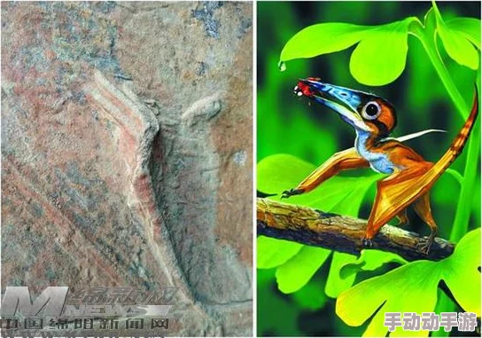 宝可梦大探险:化石翼龙强度深度测评及全面攻略详解 宝可梦大探险:化石翼龙强度深度测评及全面攻略详解