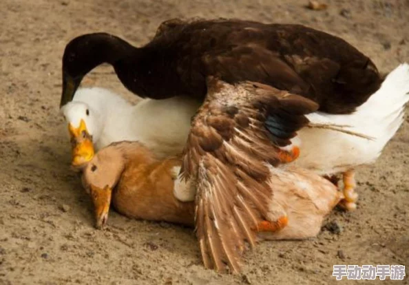 深度解析太空鹅鸭杀中超能力角色玩法攻略与技巧详解 深度解析太空鹅鸭杀中超能力角色玩法攻略与技巧详解