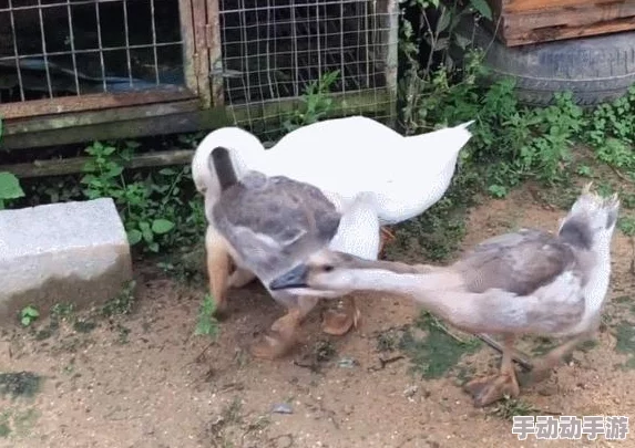 深度解析太空鹅鸭杀中超能力角色玩法攻略与技巧详解 深度解析太空鹅鸭杀中超能力角色玩法攻略与技巧详解