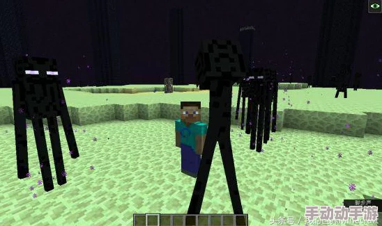 梦想新大陆伙伴获取指南:玩法解析与获取技巧 梦想新大陆伙伴获取指南:玩法解析与获取技巧