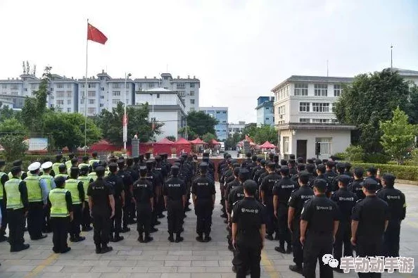 航海王燃烧意志周年庆典玩法攻略，精彩活动全解析