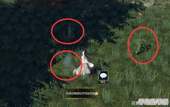 逆水寒旷野的呼唤任务攻略详解 ｜ 探索旷野的呼唤详细步骤