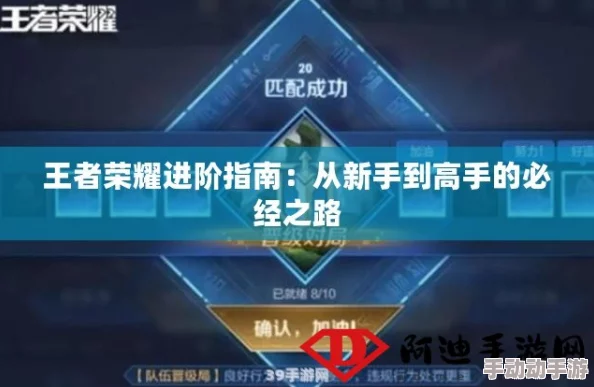 从新手入门至高手进阶的深度解析攻略
