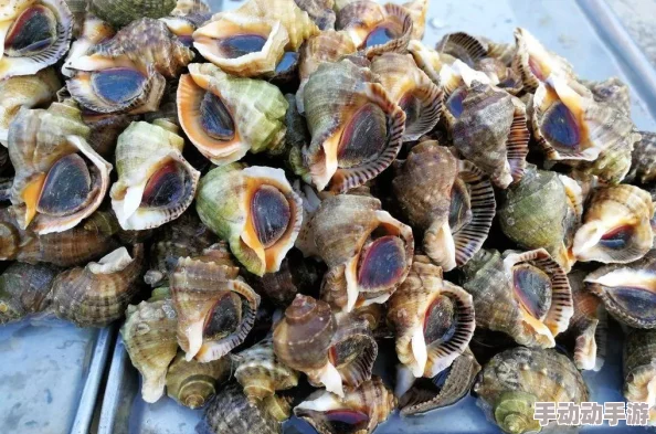 超市模拟器深度解析如何正确拿取与丢弃箱子物品指南